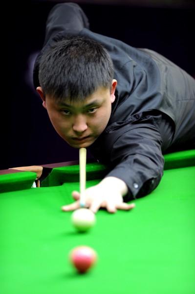 这一平台的 这一平台的