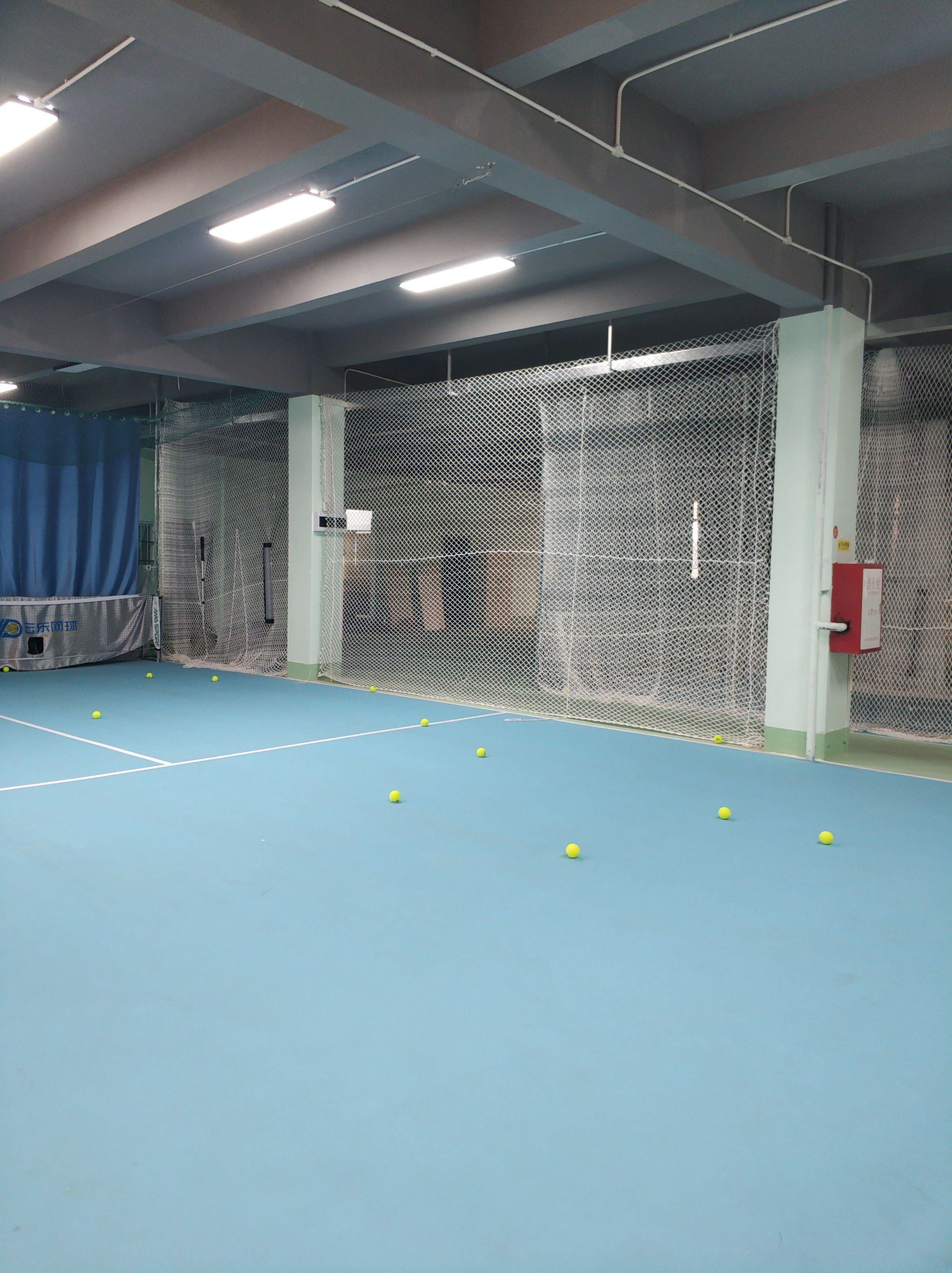 德尔加多能 德尔加多能