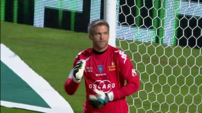 生黑天鹅 生黑天鹅