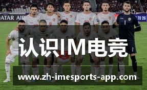认识IM电竞